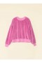  Dametrøjer og T-shirts | Xirena French Rose Huxley Velour Sweatshirt